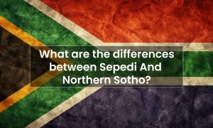 What are is the differences between sepedi and northern sotho-pretoria-fourways-capetown-durban